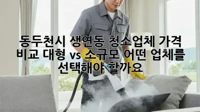 동두천시 생연동 청소업체 가격 비교: 대형 vs 소규모, 어떤 업체를 선택해야 할까요?