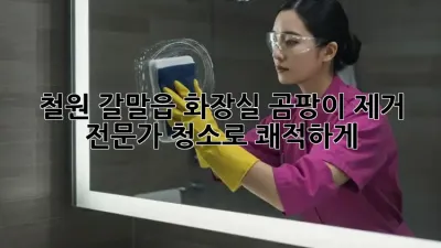 철원 갈말읍 화장실 곰팡이 제거, 전문가 청소로 쾌적하게!